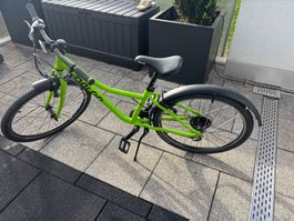 ``Grünes NALOO Chameleon Kindervelo 24 Zoll